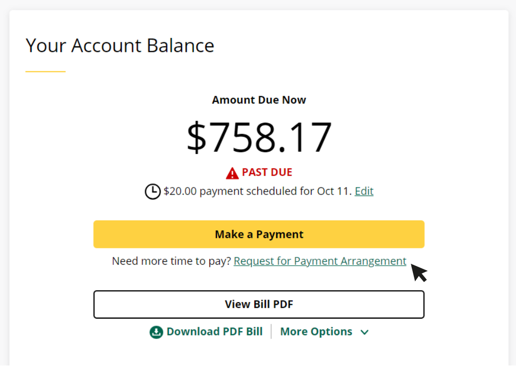 screenshot of account balance